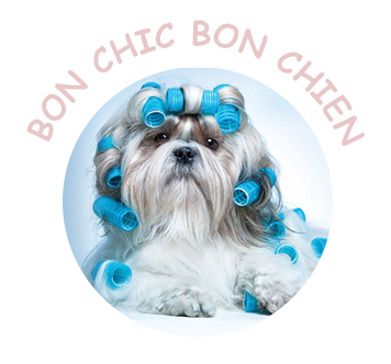 BON CHIC BON CHIEN